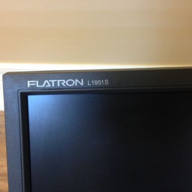 Dual LG computer monitors with dual wall mount