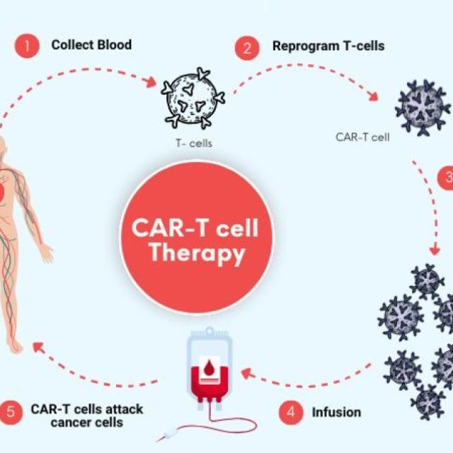 A Novel Approach to Immunotherapy for the Treatment of Cancer- Chimeric Antigen Receptor T-Cell Therapy