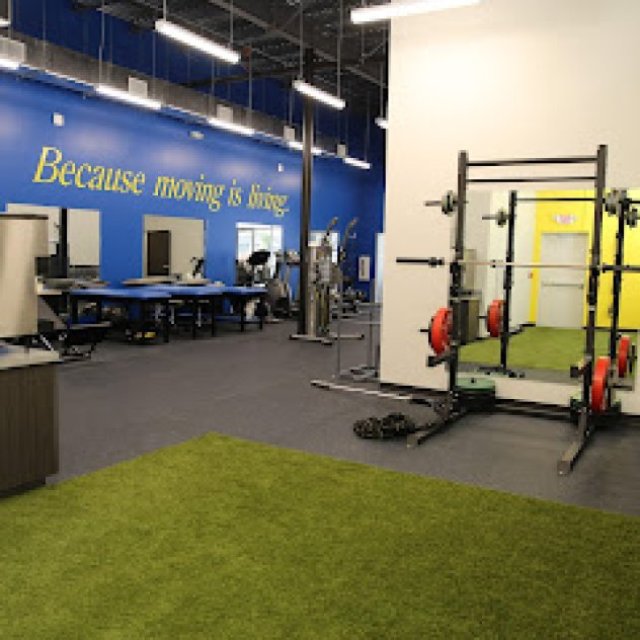 Live To Move Physical Therapy