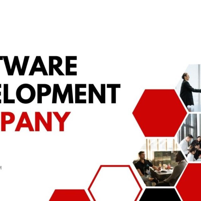 Software development company