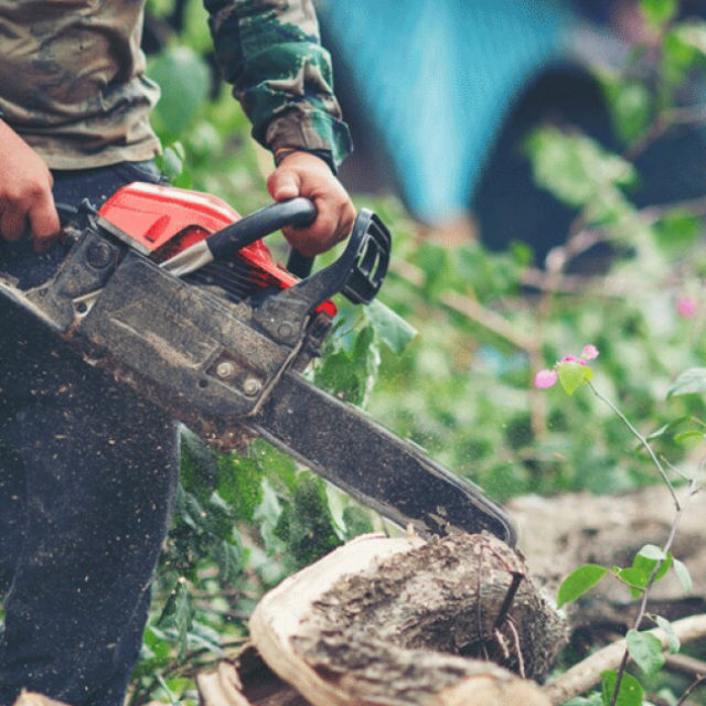 SydneySide Tree Services