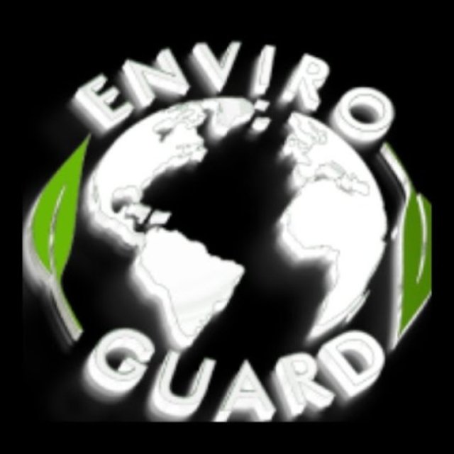 Enviro Guard Pest Control