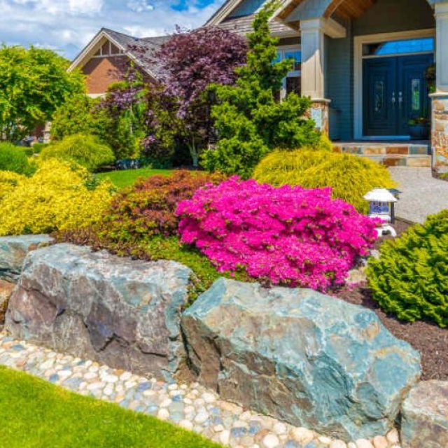 Professional Landscaping Services in Potomac