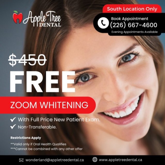 Top-Rated Dentist in London, Ontario for Quality Care