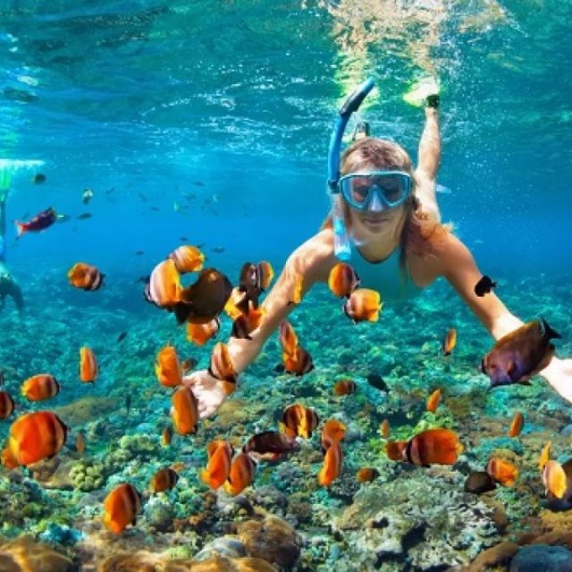 Explore Marine Life with Snorkel Tours in La Paz