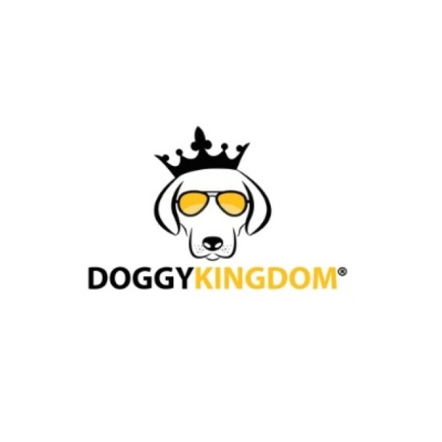 Discover Premium Pet Accessories for Dogs at Great Prices