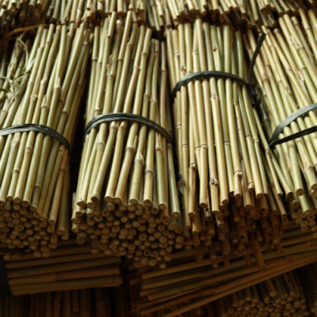 Zhaoqing Vantide Bamboo Co., Ltd.