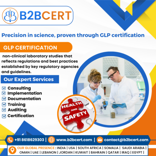 B2BCERT Consultant Portfolio