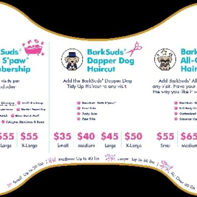Affordable & Professional Dog Grooming Packages in Fishhawk