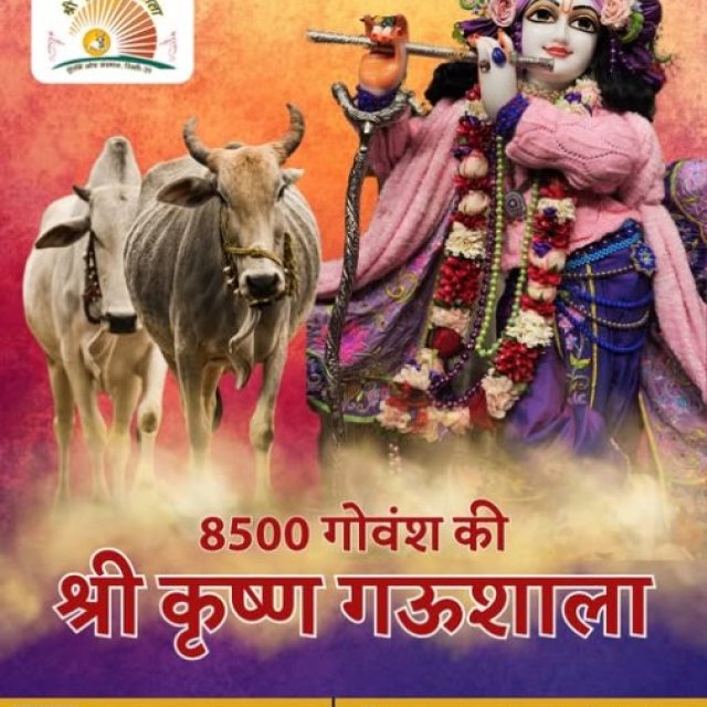 Shri Krishan Gaushala A Trusted Cow Shelter in Delhi