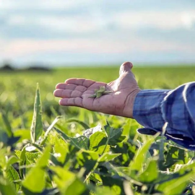 Inventory Management For Growers