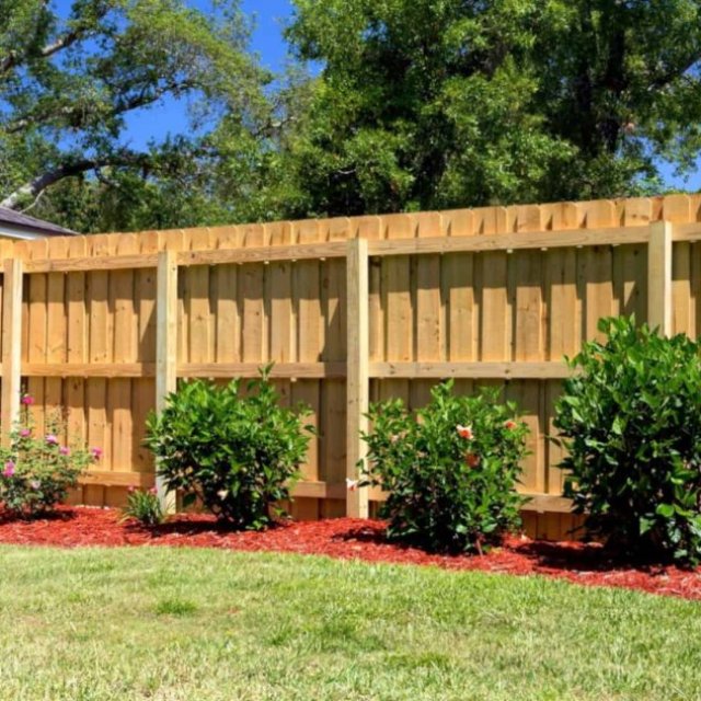Stand Strong Fencing