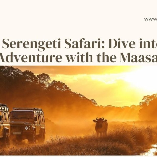 Asanja Africa