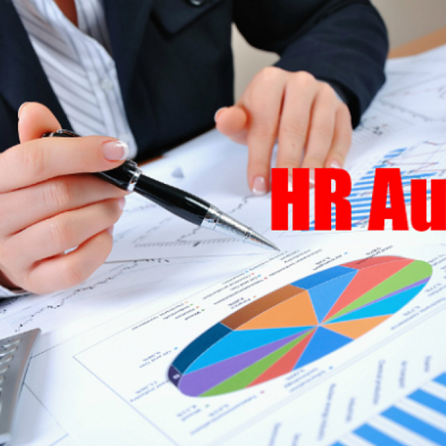 HR auditing | Training & Development