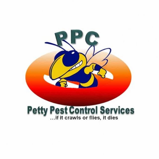 Bed Bug Heat Treatment Solution in Kitchener