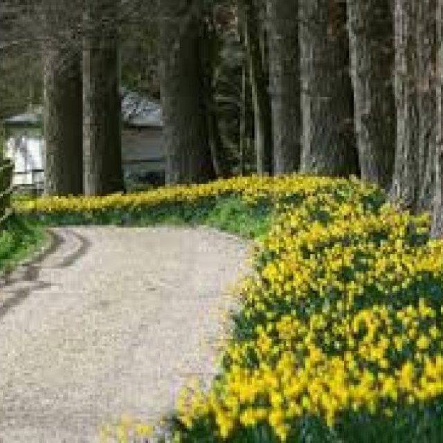 Garden Consultation Services Essex