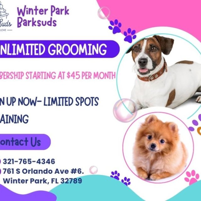 Trusted & Gentle Pet Grooming Services in Winter Park