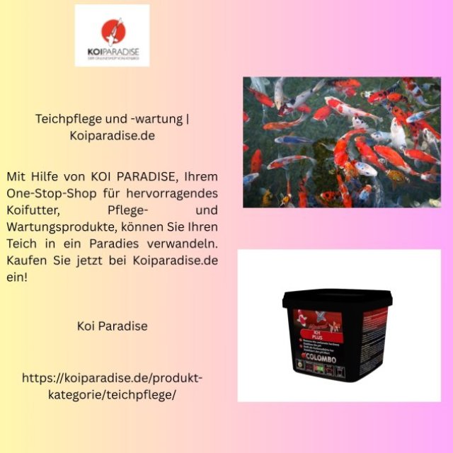 Teichpflege und -wartung | Koiparadise.de