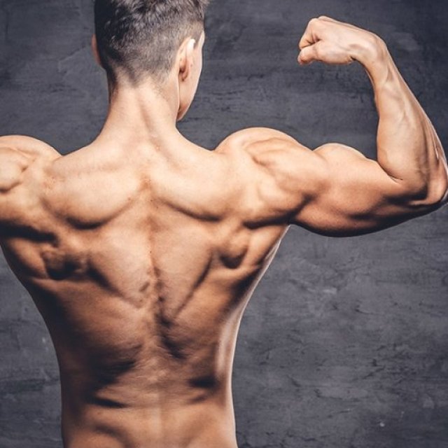 Get Fit at Home with a Personal Trainer in South Tampa