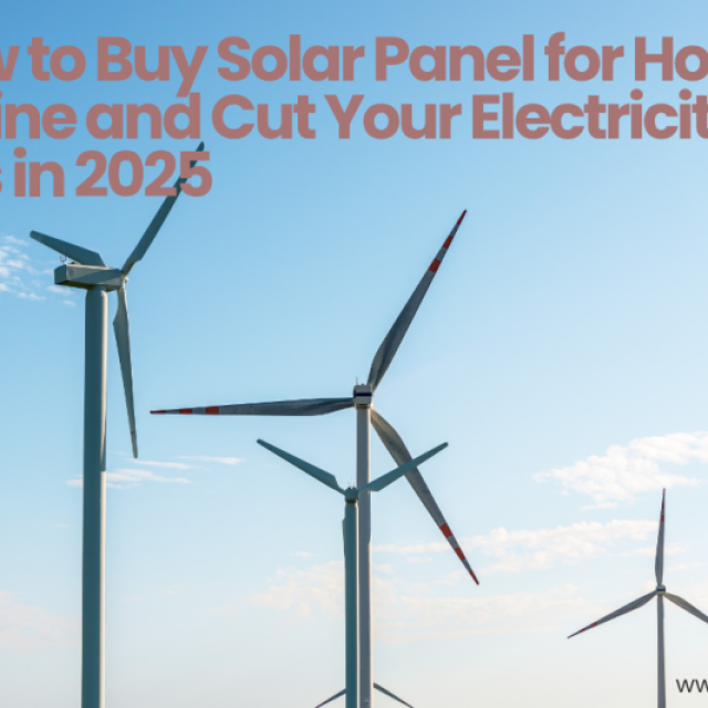 Smart Homeowners Buy Solar Panel for Home Online—Here’s Why