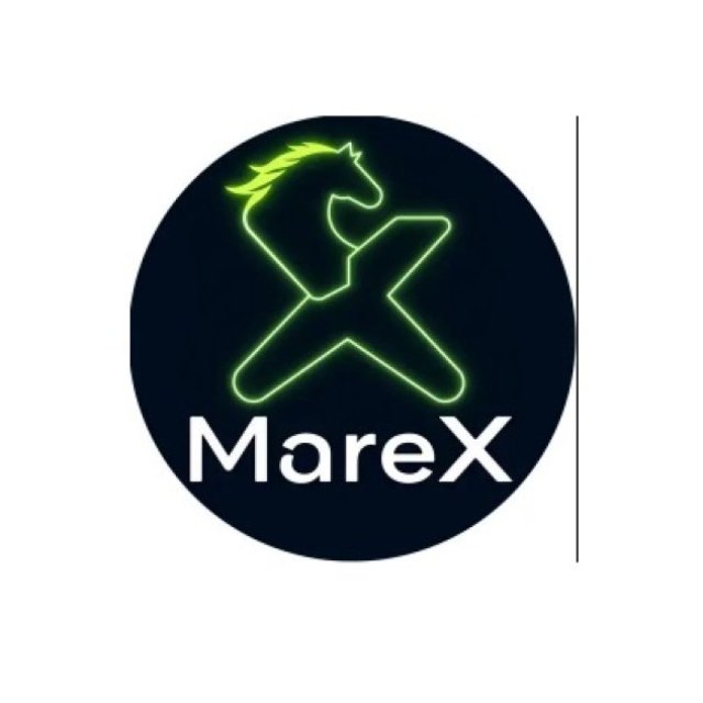 Shenzhen MareX Technology Co. Ltd.