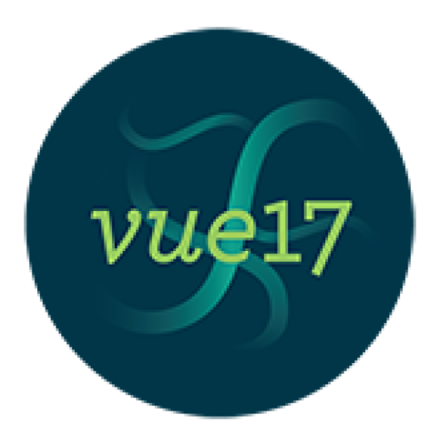 Vue17