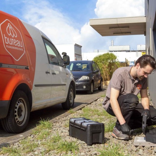 Rattenpoep: Hoe je het herkent en veilig schoonmaakt
