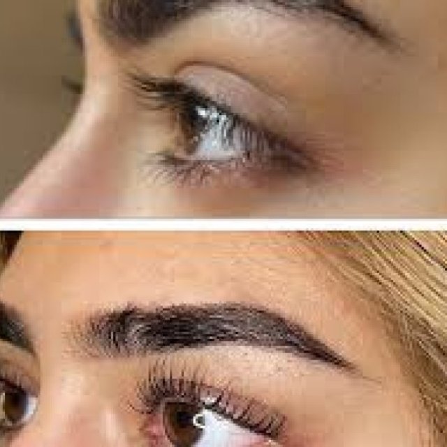 Mega Volume Lashes