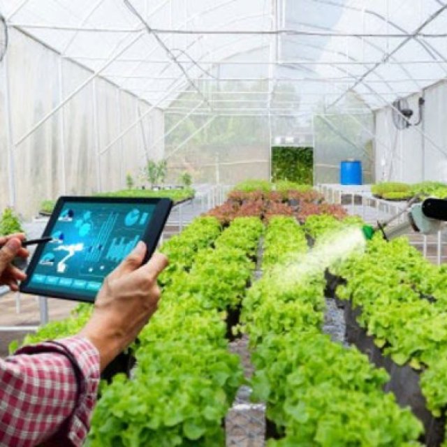 Greenhouse Inventory Software