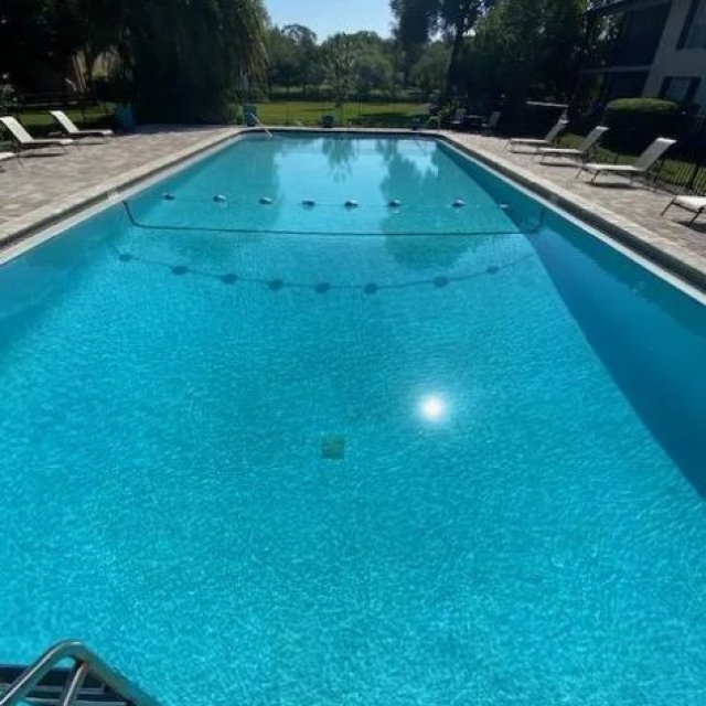 Professional Algae Removal Pool Service