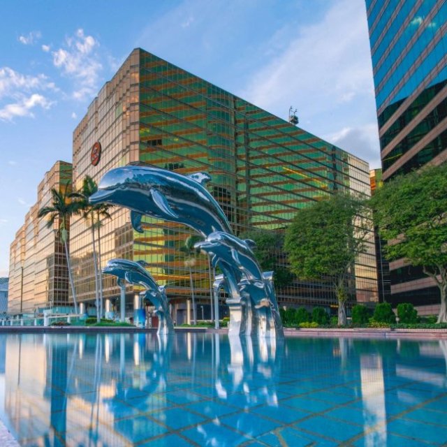 Commercial Pool Contractors Specializing in Large Scale Pool Construction Projects
