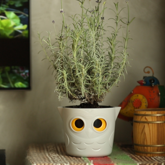 Blumentopf mit Wasserreservoir | Aurexis24.com