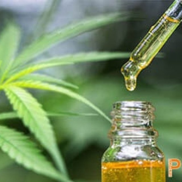 Affordable Insights on CBD Extraction Costs