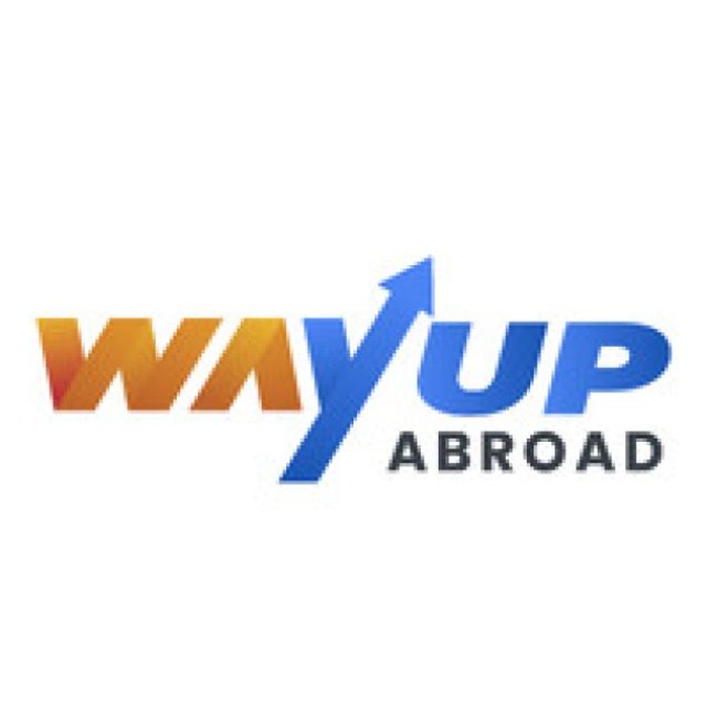 Overseas education consultant