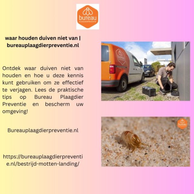 waar houden duiven niet van | bureauplaagdierpreventie.nl