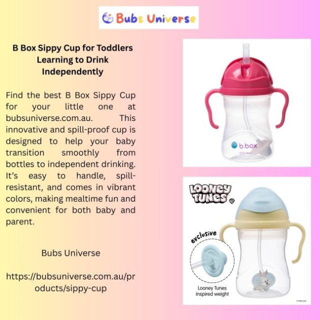 B Box Sippy Cup for Toddlers Learning to Drink Independently
