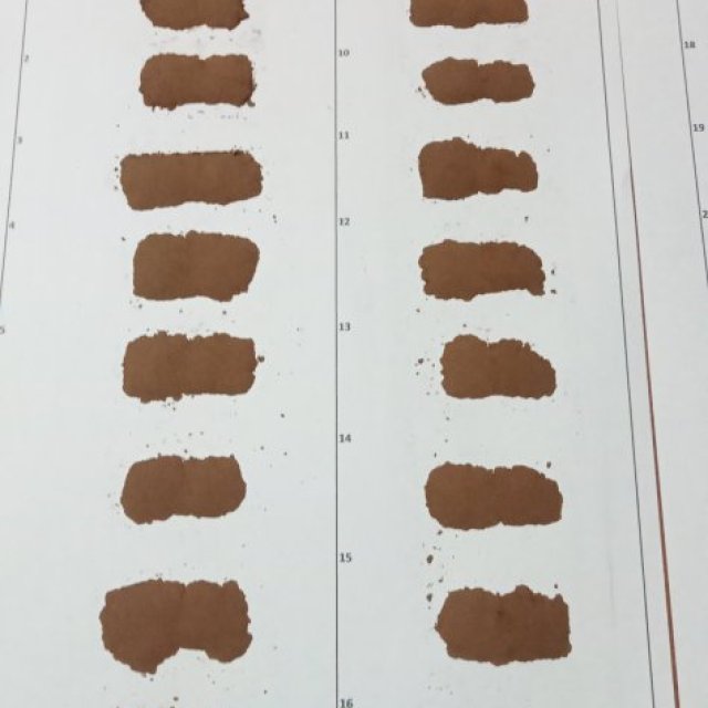 Top Cocoa Powder Manufacturer Offering Natural and Alkalized Varieties