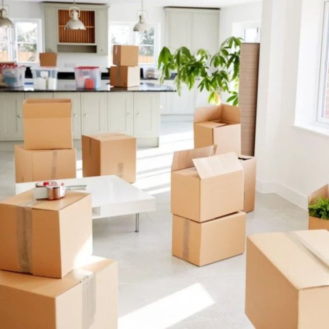 Comprehensive Facility Management for Your Workplace Needs