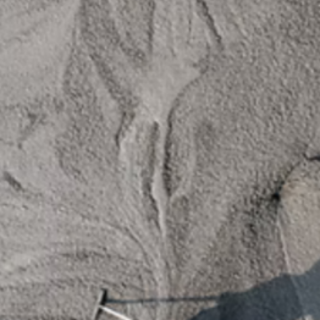 Level Line Concrete