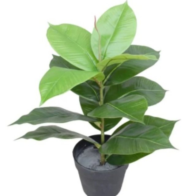 Artificial Potted Rubber Plant 55cm - UV-Resistant, Realistic Faux Greenery for Indoors & Outdoors