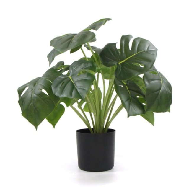 Dense Potted Artificial Split Philodendron Plant - 50cm Real Touch