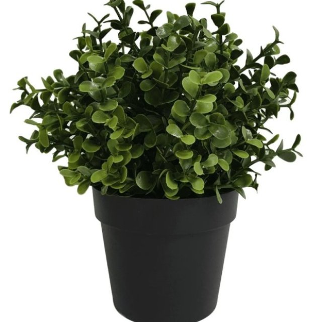 Small Potted Artificial Buxus Plant - UV Resistant 20cm