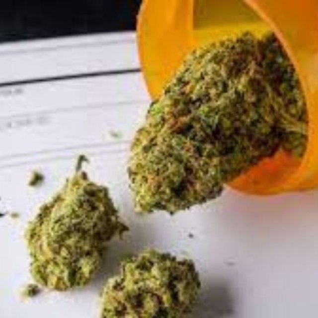 Medical Marijuana Doctor in Delray Beach: Compassionate Care by THC Physicians