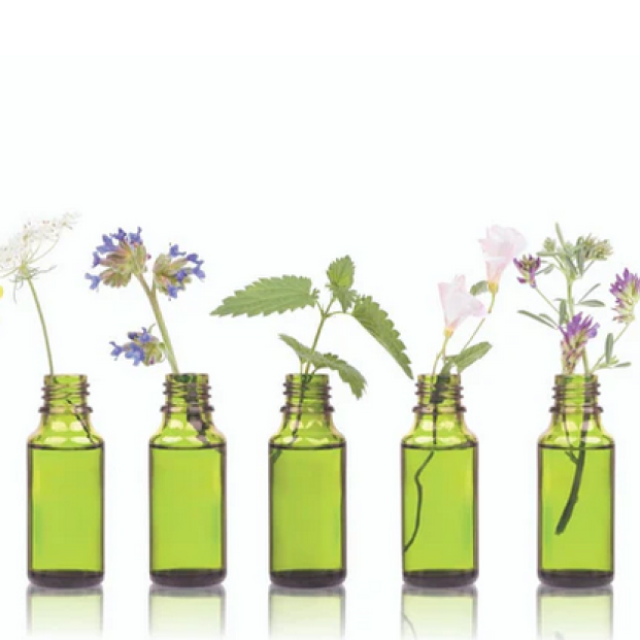 Discover the Power of Herbs in Daily Nutrition