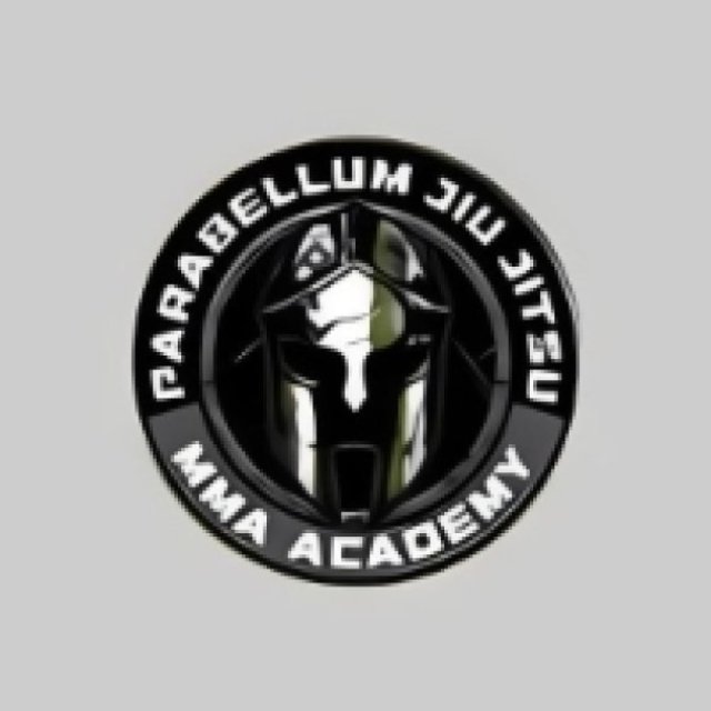 Parabellum Jiu Jitsu MMA Academy