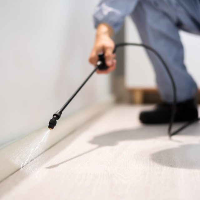 Pest Control Services LLC - Albuquerque’s Trusted Pest Experts