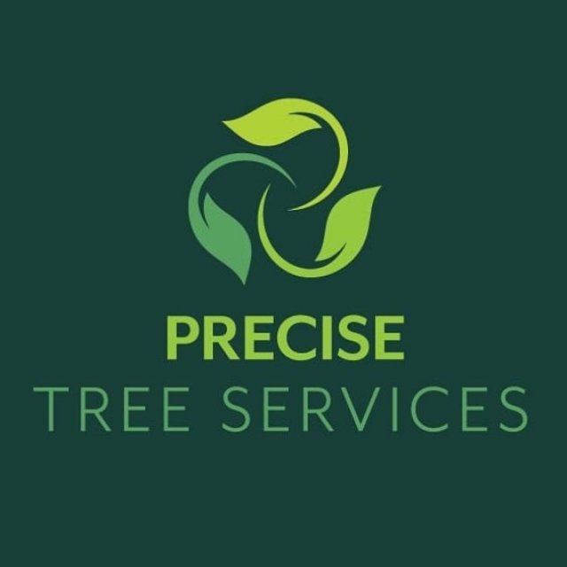 Precise Tree Services