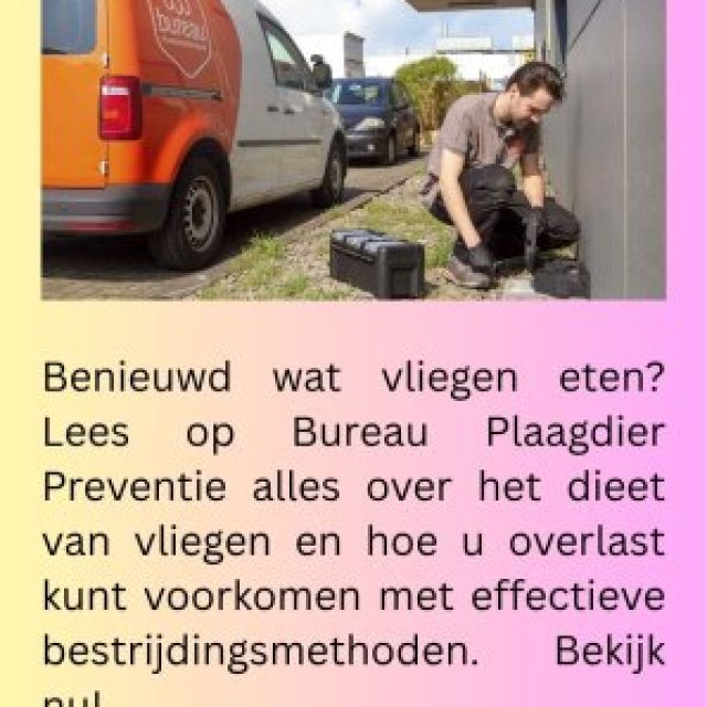 wat eten vliegen | bureauplaagdierpreventie.nl