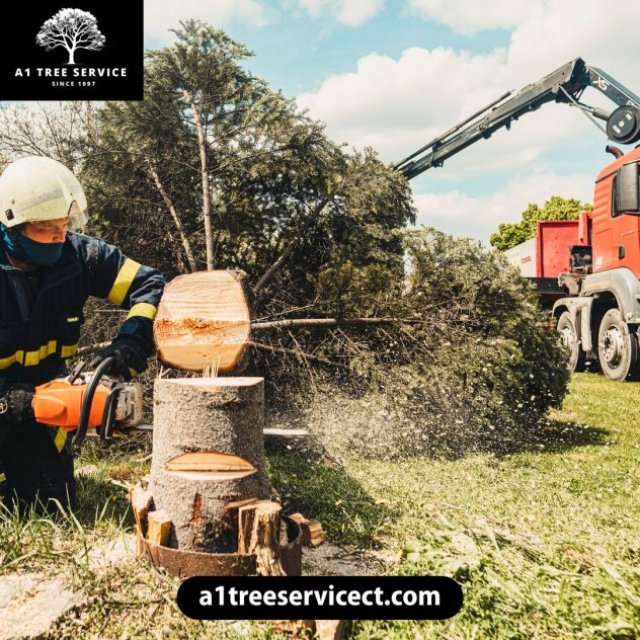 A1 Tree Service LLC