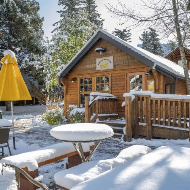 Enchanting Alberta Mountain Wedding Venues for Your Perfect Day